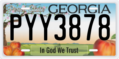GA license plate PYY3878