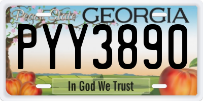 GA license plate PYY3890