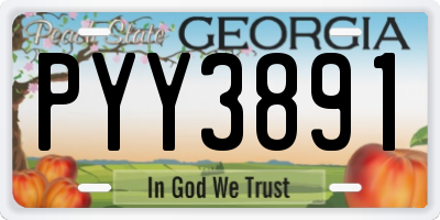 GA license plate PYY3891