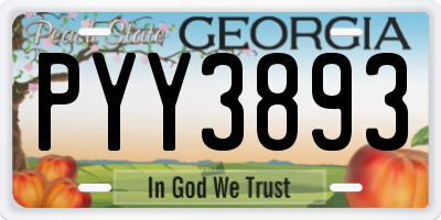 GA license plate PYY3893