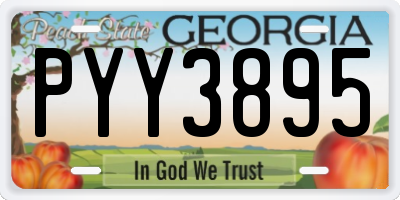 GA license plate PYY3895