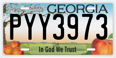 GA license plate PYY3973