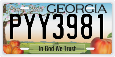 GA license plate PYY3981