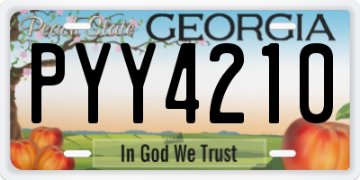GA license plate PYY4210