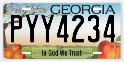 GA license plate PYY4234