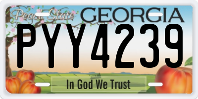 GA license plate PYY4239