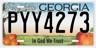 GA license plate PYY4273
