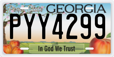 GA license plate PYY4299