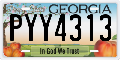 GA license plate PYY4313