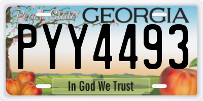 GA license plate PYY4493