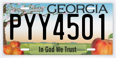 GA license plate PYY4501