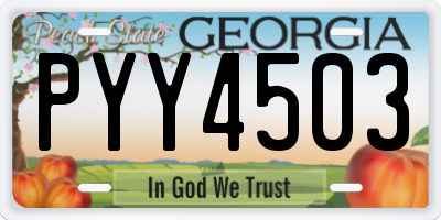 GA license plate PYY4503
