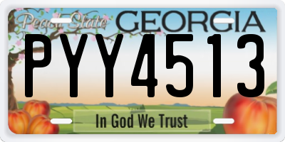 GA license plate PYY4513