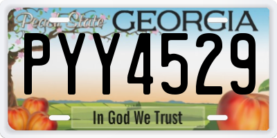 GA license plate PYY4529