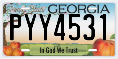 GA license plate PYY4531