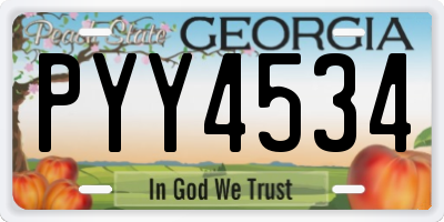 GA license plate PYY4534