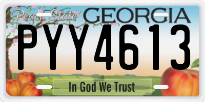 GA license plate PYY4613