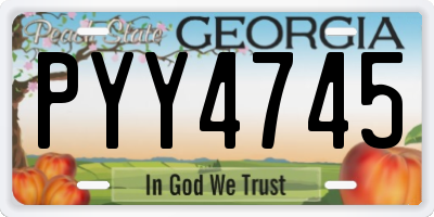 GA license plate PYY4745