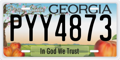 GA license plate PYY4873
