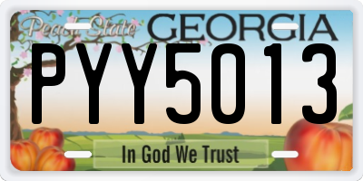 GA license plate PYY5013