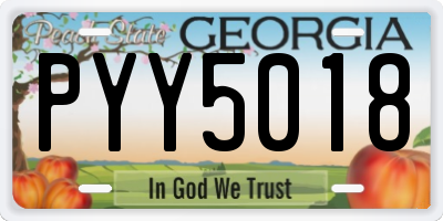 GA license plate PYY5018