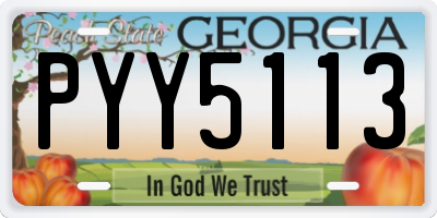 GA license plate PYY5113