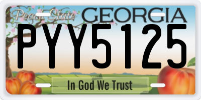 GA license plate PYY5125
