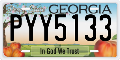 GA license plate PYY5133