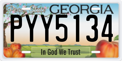 GA license plate PYY5134