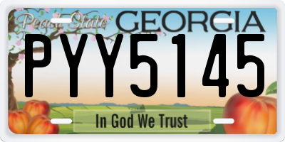 GA license plate PYY5145