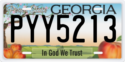 GA license plate PYY5213