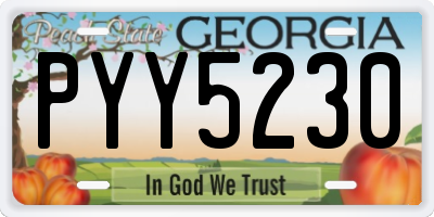 GA license plate PYY5230