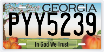 GA license plate PYY5239