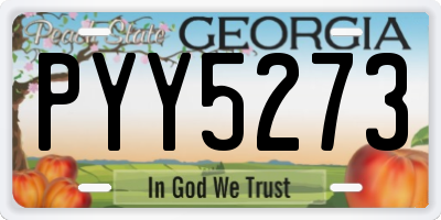 GA license plate PYY5273