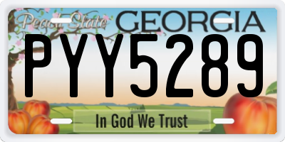 GA license plate PYY5289