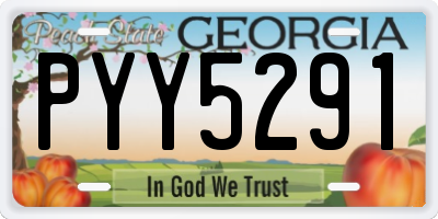 GA license plate PYY5291