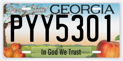 GA license plate PYY5301