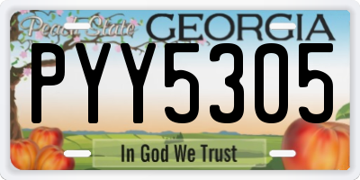 GA license plate PYY5305