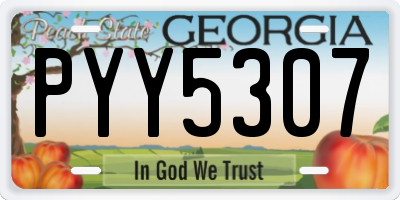 GA license plate PYY5307