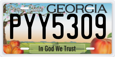GA license plate PYY5309