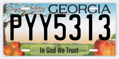 GA license plate PYY5313
