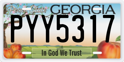 GA license plate PYY5317