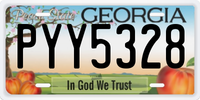 GA license plate PYY5328