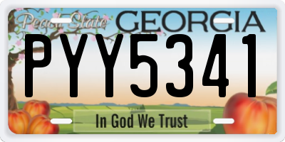 GA license plate PYY5341