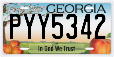 GA license plate PYY5342