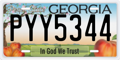 GA license plate PYY5344