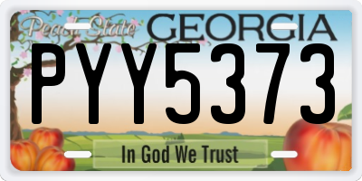 GA license plate PYY5373