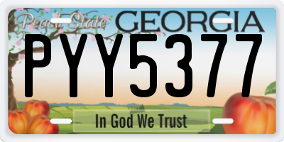 GA license plate PYY5377