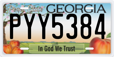 GA license plate PYY5384
