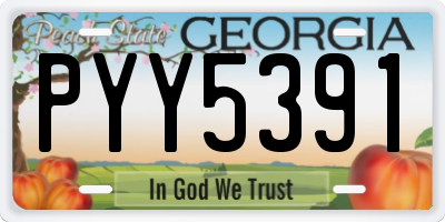 GA license plate PYY5391